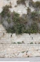 wall stones overgrown 0001